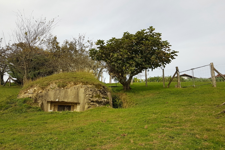 Bunker bat Arkollan