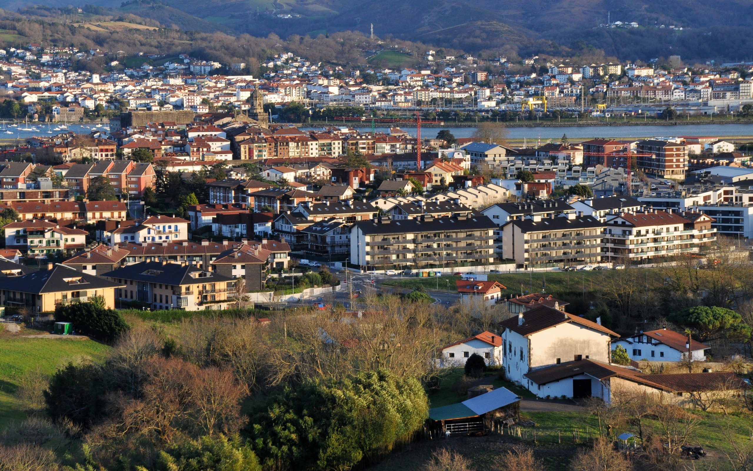 hapo hondarribia